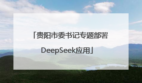 贵阳市委书记专题部署DeepSeek应用