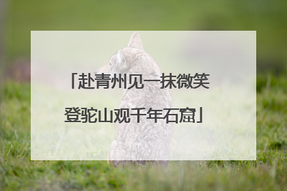 赴青州见一抹微笑 登驼山观千年石窟