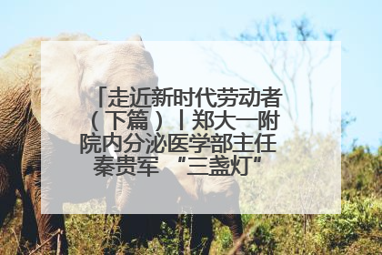 走近新时代劳动者（下篇）丨郑大一附院内分泌医学部主任秦贵军 “三盏灯”下的医者人生