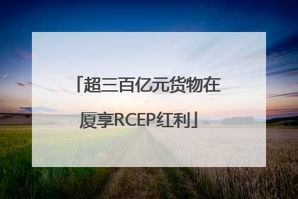 超三百亿元货物在厦享RCEP红利