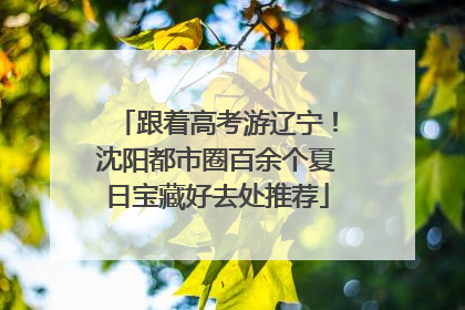 跟着高考游辽宁！沈阳都市圈百余个夏日宝藏好去处推荐