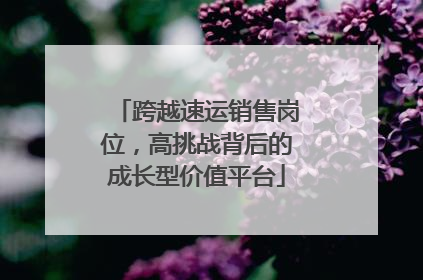 跨越速运销售岗位，高挑战背后的成长型价值平台