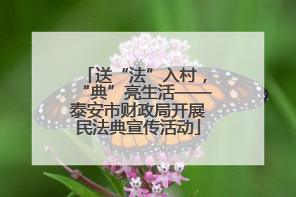 送“法”入村，“典”亮生活——泰安市财政局开展民法典宣传活动