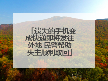 遗失的手机变成快递即将发往外地 民警帮助失主顺利取回