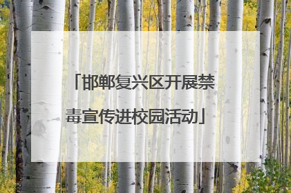 邯郸复兴区开展禁毒宣传进校园活动
