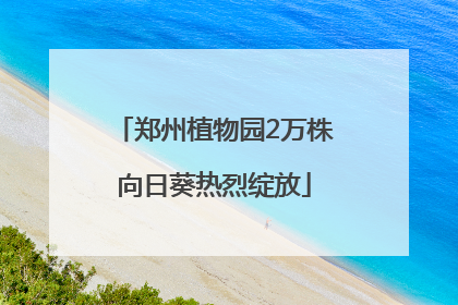 郑州植物园2万株向日葵热烈绽放