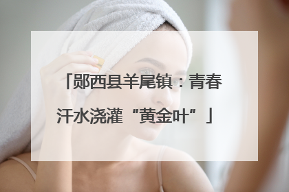 郧西县羊尾镇：青春汗水浇灌“黄金叶”
