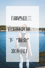 郧西县三官洞林区林下“掘金”富乡民