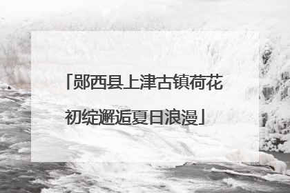 郧西县上津古镇荷花初绽邂逅夏日浪漫