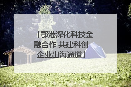 鄂港深化科技金融合作 共建科创企业出海通道