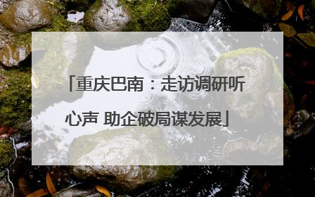 重庆巴南：走访调研听心声 助企破局谋发展