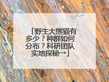 野生大熊猫有多少？种群如何分布？科研团队实地探秘→