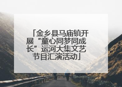 金乡县马庙镇开展“童心同梦同成长”运河大集文艺节目汇演活动
