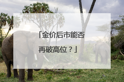 金价后市能否再破高位？