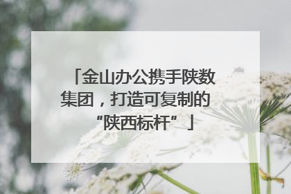 金山办公携手陕数集团，打造可复制的“陕西标杆”