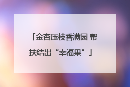 金杏压枝香满园 帮扶结出“幸福果”