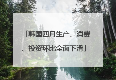 韩国四月生产、消费、投资环比全面下滑