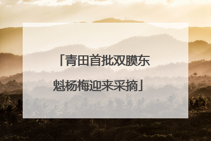 青田首批双膜东魁杨梅迎来采摘