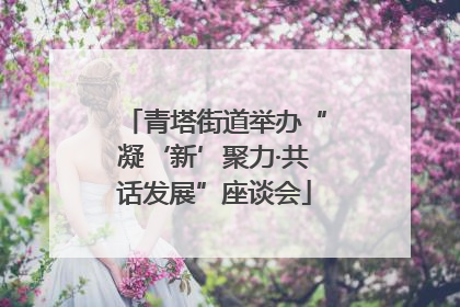 青塔街道举办“凝‘新’聚力·共话发展”座谈会