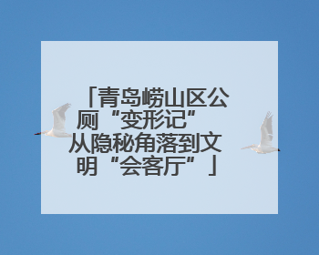 青岛崂山区公厕“变形记” 从隐秘角落到文明“会客厅”