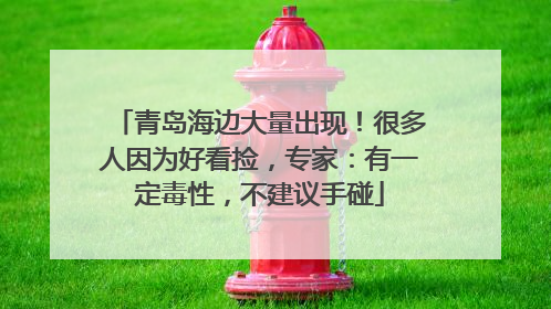 青岛海边大量出现！很多人因为好看捡，专家：有一定毒性，不建议手碰