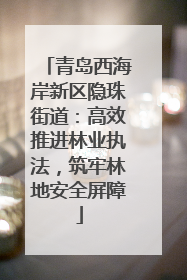 青岛西海岸新区隐珠街道：高效推进林业执法，筑牢林地安全屏障