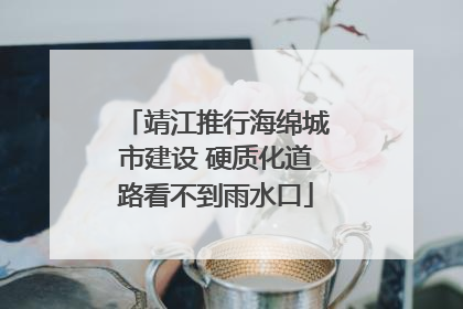 靖江推行海绵城市建设 硬质化道路看不到雨水口