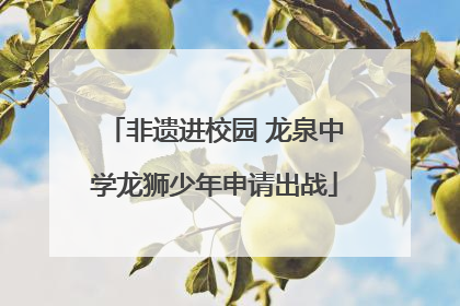 非遗进校园 龙泉中学龙狮少年申请出战