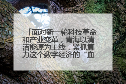 面对新一轮科技革命和产业变革，青海以清洁能源为主线，紧抓算力这个数字经济的“血液”、科技主权的“筹码”、产业升级的“杠杆”、绿色转型的“支点”，勇于撬动国家“双碳”战略、“东数西算”工程重大发展新机遇