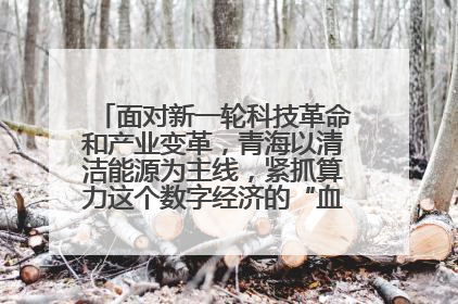 面对新一轮科技革命和产业变革,青海以清洁能源为主线,紧抓算力这个数字经济的“血液”、科技主权的“筹码”、产业升级的“杠杆”、绿色转型的“支点”,勇于撬动国家“双碳”战略、“东数西算”工程重大发展新机遇,点亮绿色算电协同新赛道,蹚出一条符合本地实际的高质量发展之路——青海:“绿色算力” 锚定“东数西算”国家战略布局