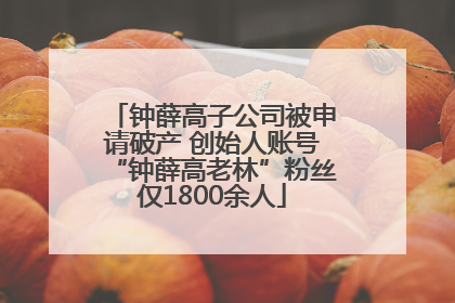 钟薛高子公司被申请破产 创始人账号“钟薛高老林”粉丝仅1800余人