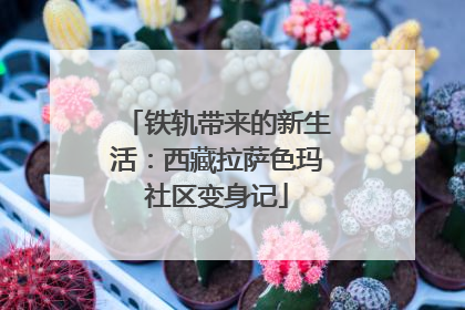 铁轨带来的新生活：西藏拉萨色玛社区变身记