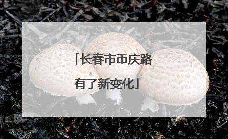 长春市重庆路有了新变化