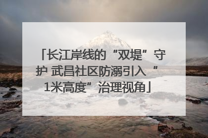 长江岸线的“双堤”守护 武昌社区防溺引入“1米高度”治理视角