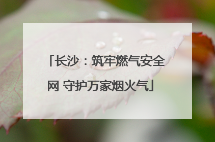 长沙：筑牢燃气安全网 守护万家烟火气