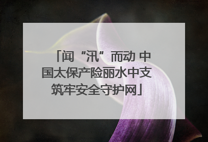 闻“汛”而动 中国太保产险丽水中支筑牢安全守护网