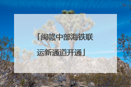 闽赣中部海铁联运新通道开通