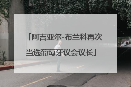 阿吉亚尔-布兰科再次当选葡萄牙议会议长