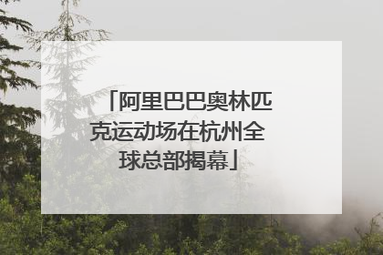 阿里巴巴奥林匹克运动场在杭州全球总部揭幕