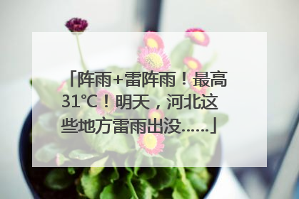 阵雨+雷阵雨！最高31℃！明天，河北这些地方雷雨出没……