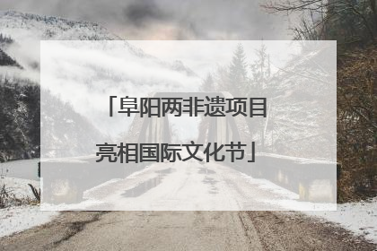 阜阳两非遗项目亮相国际文化节
