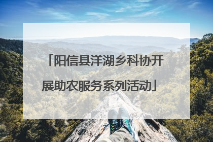 阳信县洋湖乡科协开展助农服务系列活动
