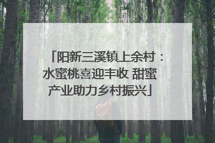 阳新三溪镇上余村：水蜜桃喜迎丰收 甜蜜产业助力乡村振兴