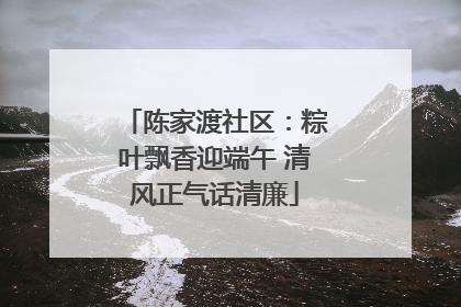 陈家渡社区：粽叶飘香迎端午 清风正气话清廉