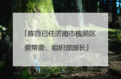 陈鲁已任济南市槐荫区委常委、组织部部长