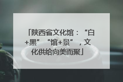 陕西省文化馆：“白+黑”“馆+景”，文化供给向美而聚