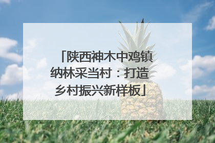 陕西神木中鸡镇纳林采当村：打造乡村振兴新样板
