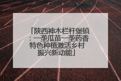 陕西神木栏杆堡镇：一垄瓜苗一垄药香 特色种植激活乡村振兴新动能