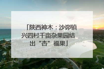 陕西神木：沙峁镇兴四村千亩杂果园结出“杏”福果