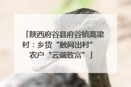 陕西府谷县府谷镇高梁村：乡货“触网出村” 农户“云端致富”